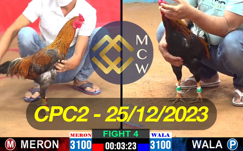 ĐÁ GÀ TRỰC TIẾP CPC2 NGÀY 25/12/2023